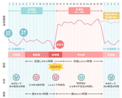 妊娠危険日計算|排卵日チェッカー・安全日 危険日・妊娠しやすい日。